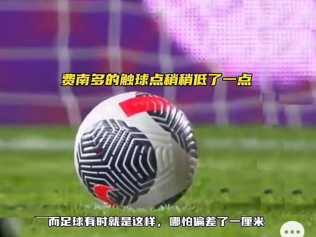 國內外頂尖