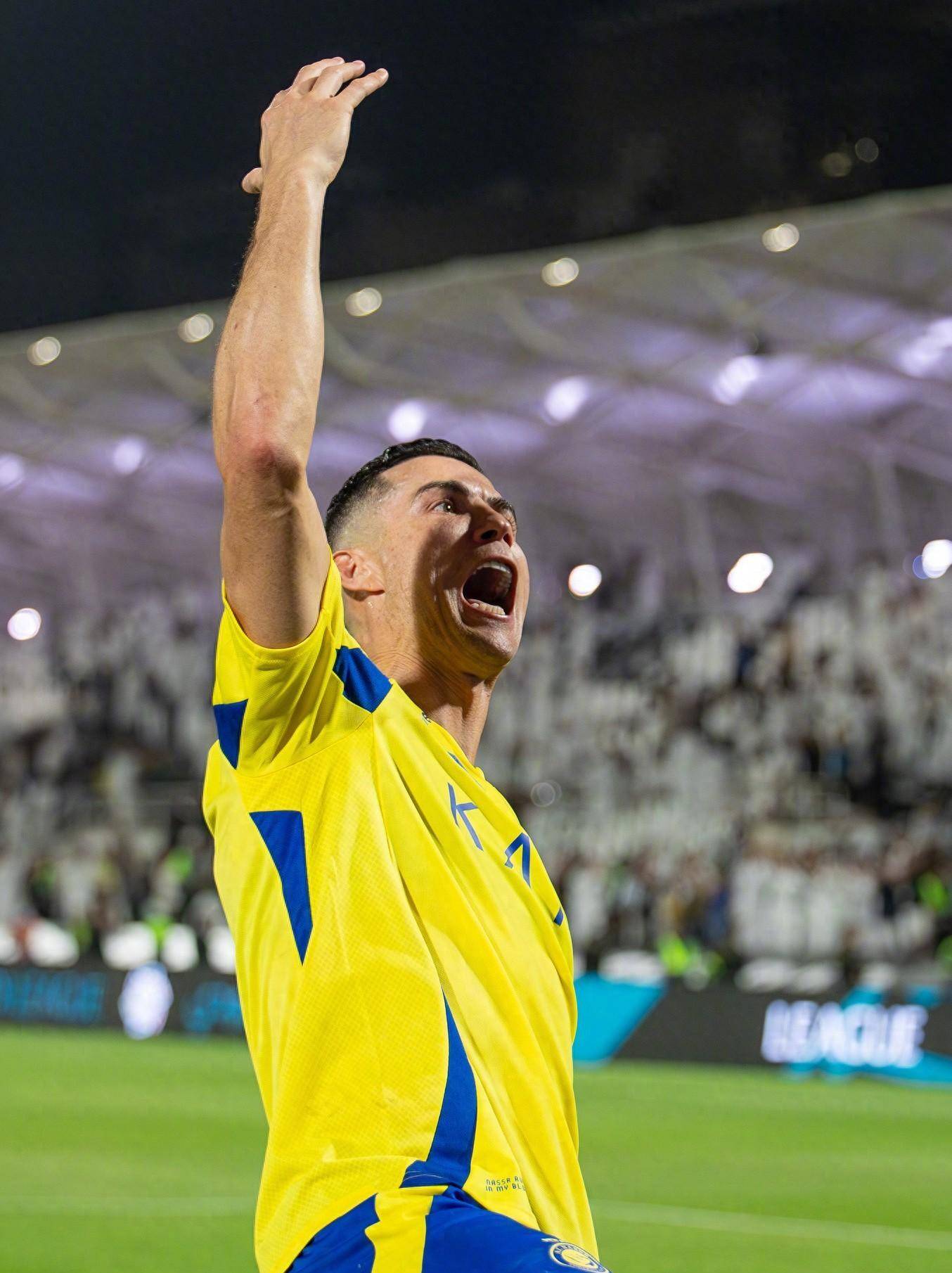 这不仅仅体 这不仅仅体