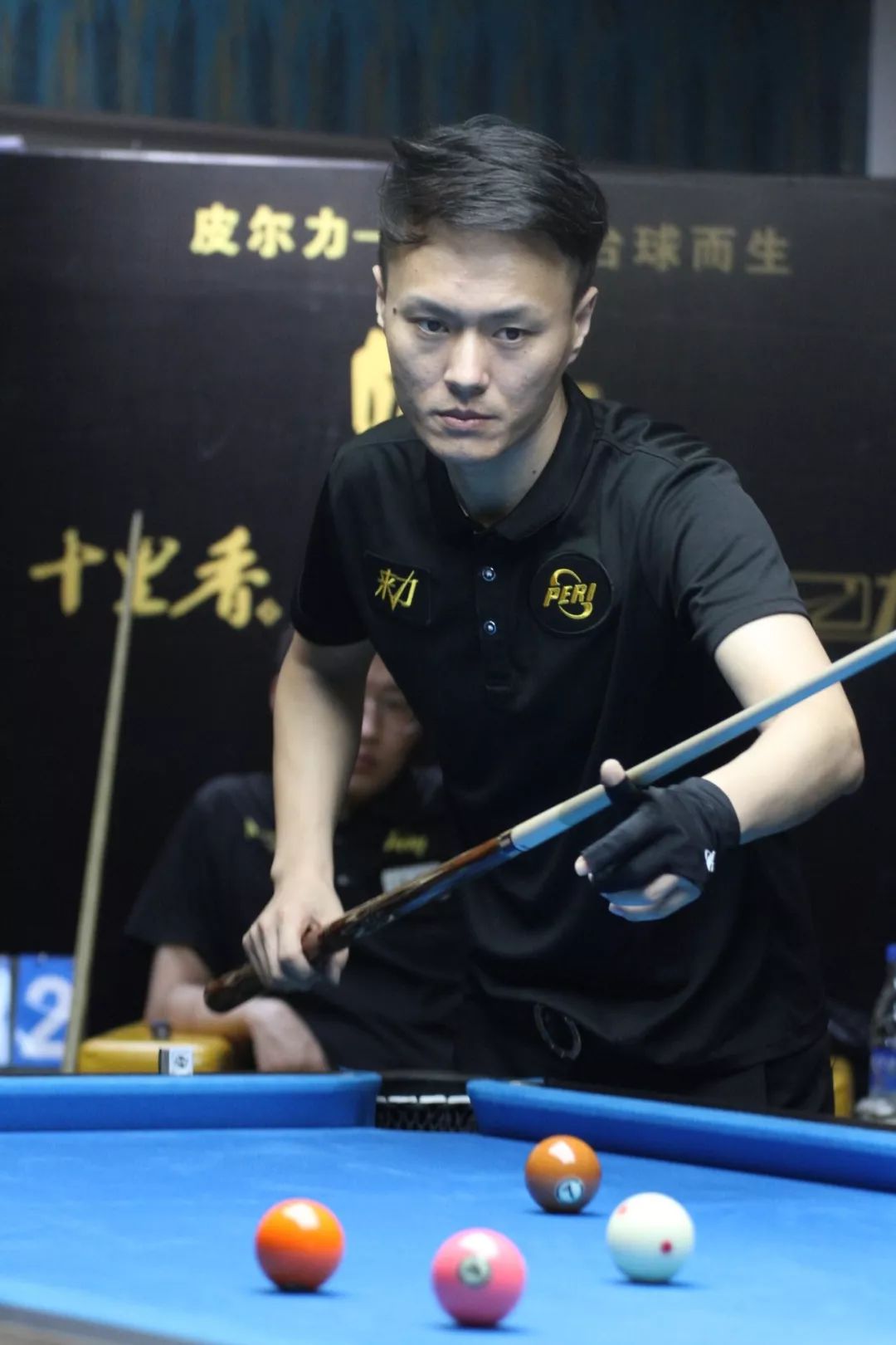 适应体系 适应体系