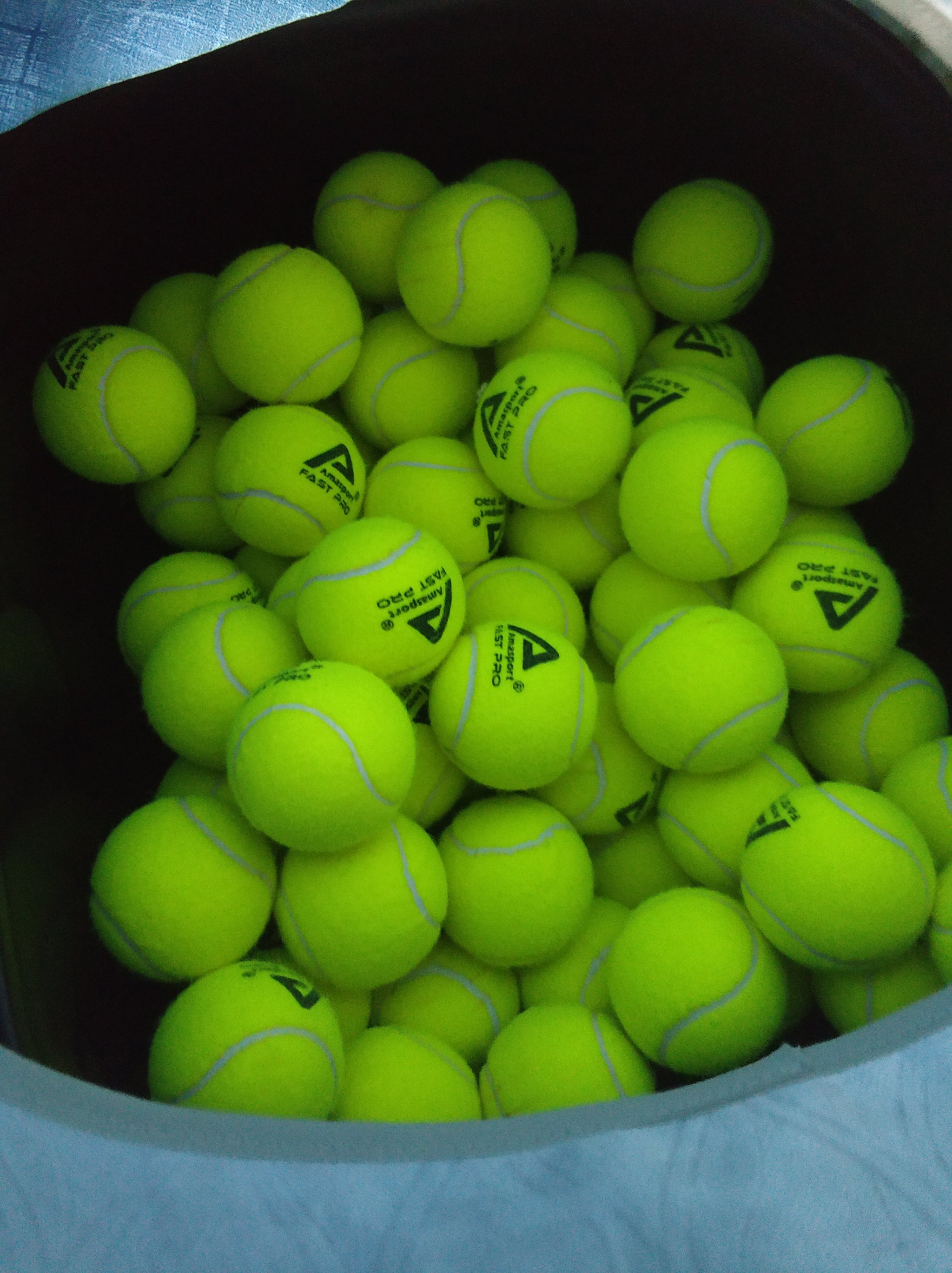 球队在战术 球队在战术